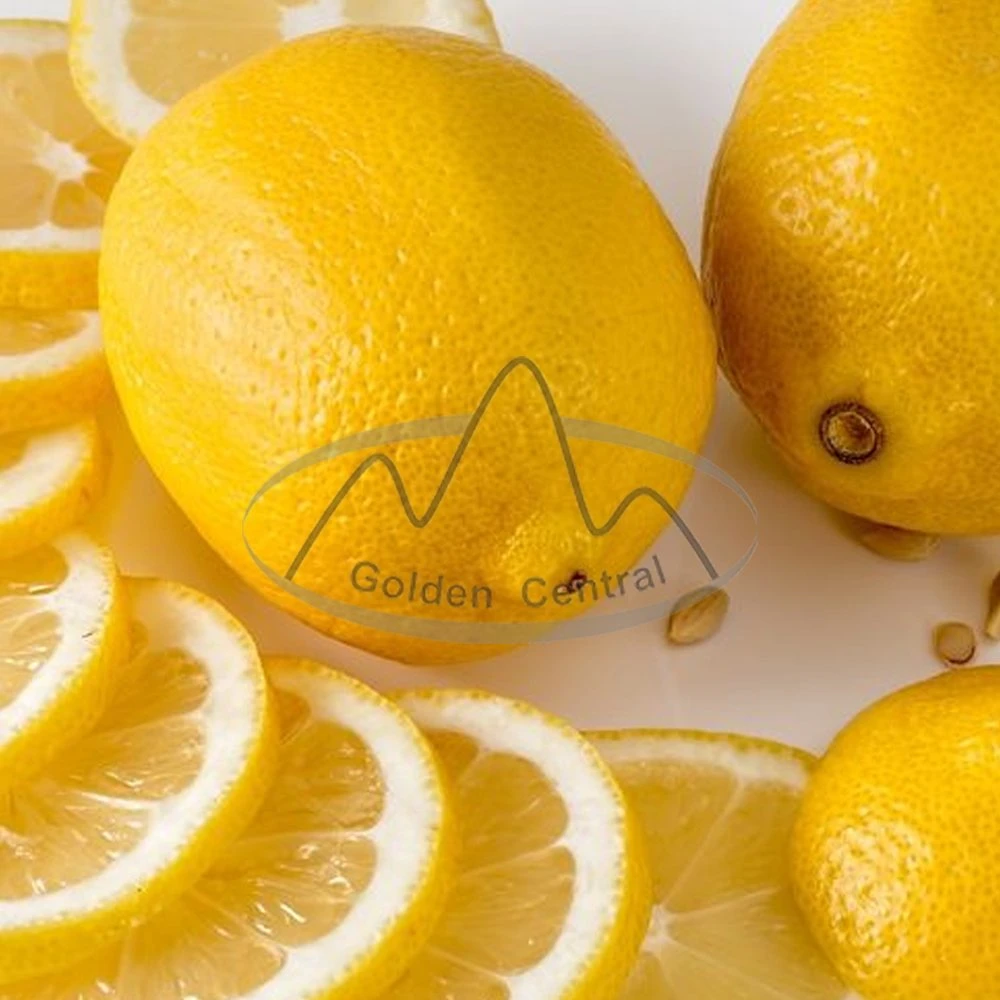 Natural Hot Selling Delicious Fresh Lemons in Bulk with Low Wholesale Price Fruits in Bulk Fresh Lemon