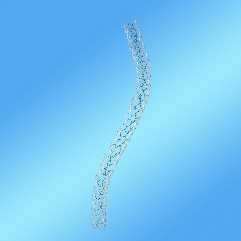 BMS Stent Нержавеющая сталь Коронарная стенная стента Система стента Бары металлический стент