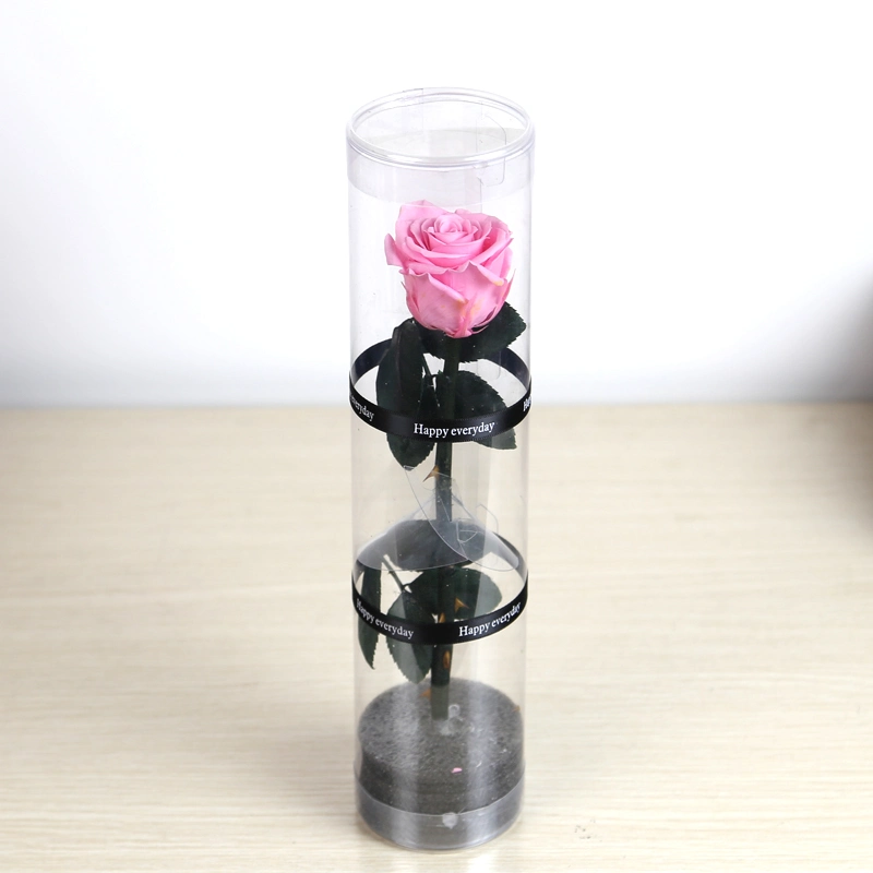 Christmas New Year Gifts Single Rose Preserved Rose Flower Stem Box in PVC Cylinder