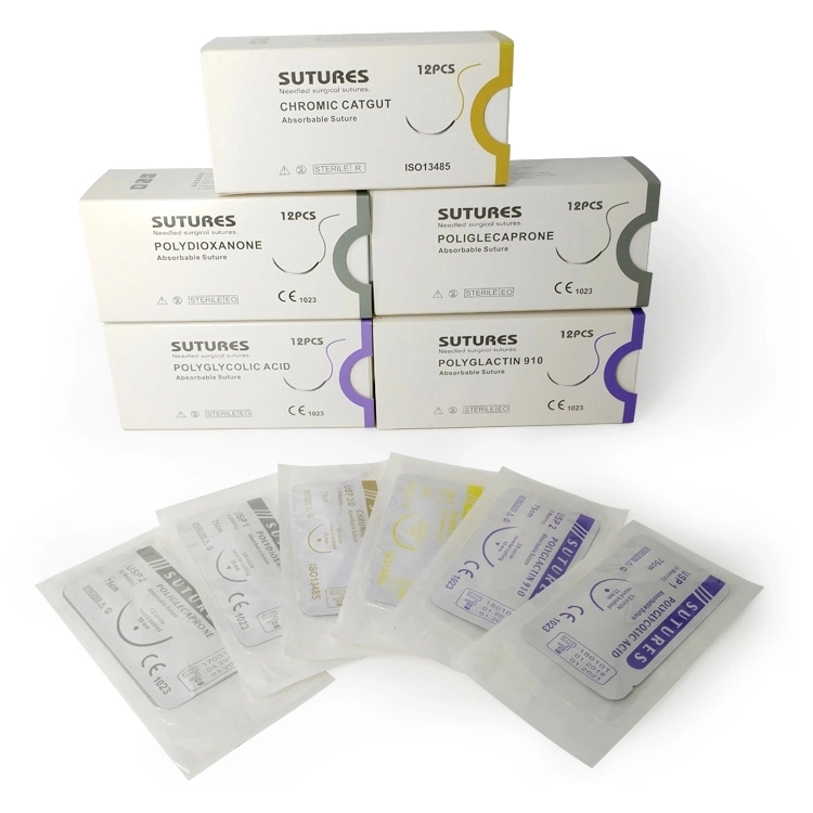 Rapid Absorbable Surgical Polydioxanone Monofilament Pdo Pdx Suture