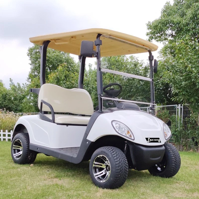 Buena Venta poderosos 4 videntes batería de litio coche de golf eléctrico Vehículo en buggy