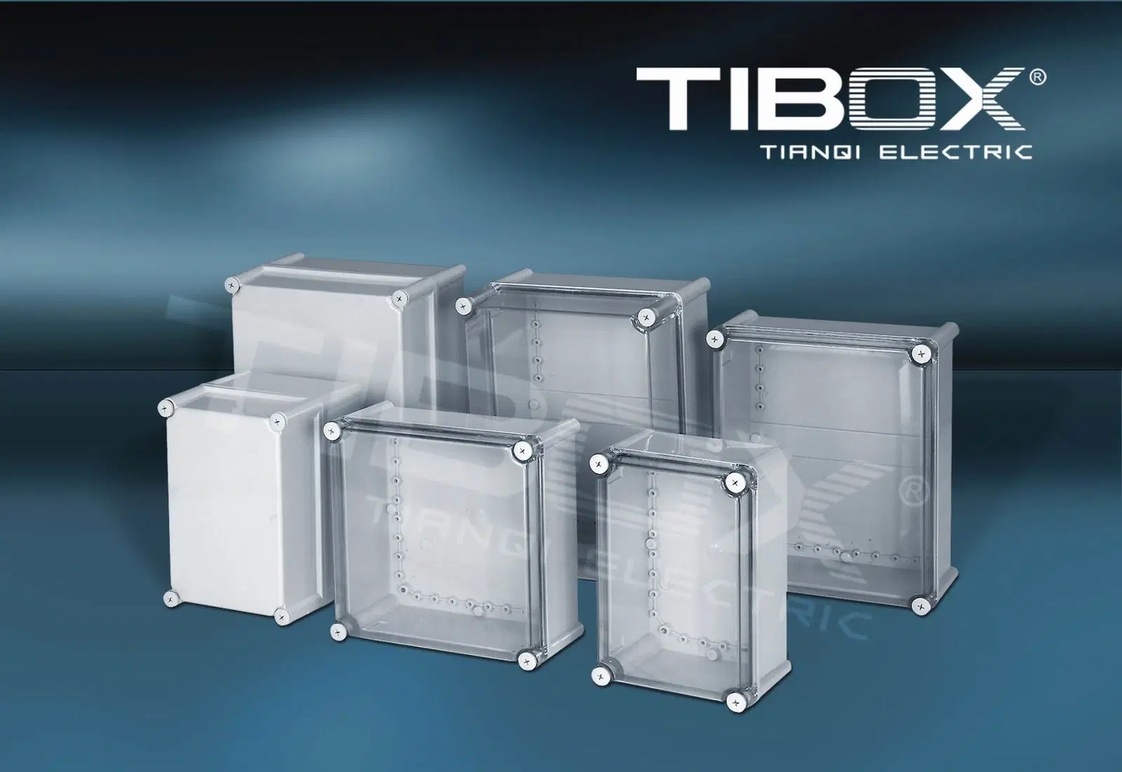 Plastic Enclosure-Big Switch Box (TJ-AG/TJ-AT)