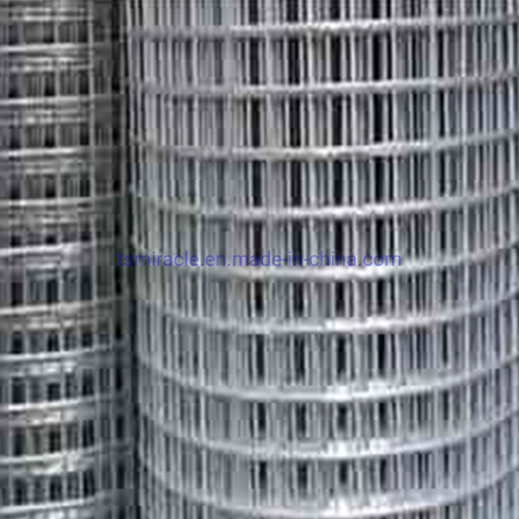 High quality/High cost performance Galvanized Welded Wire Mesh in Roll Used for Bird Cages/Garden Fence