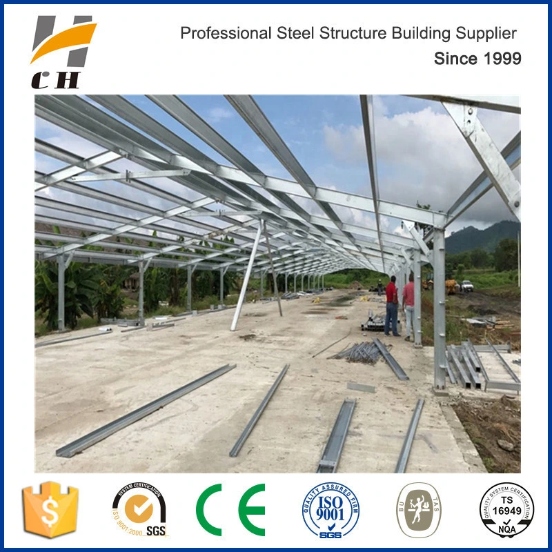 Poultry Chicken Shed/Farm/House Steel Roof Construction Structures