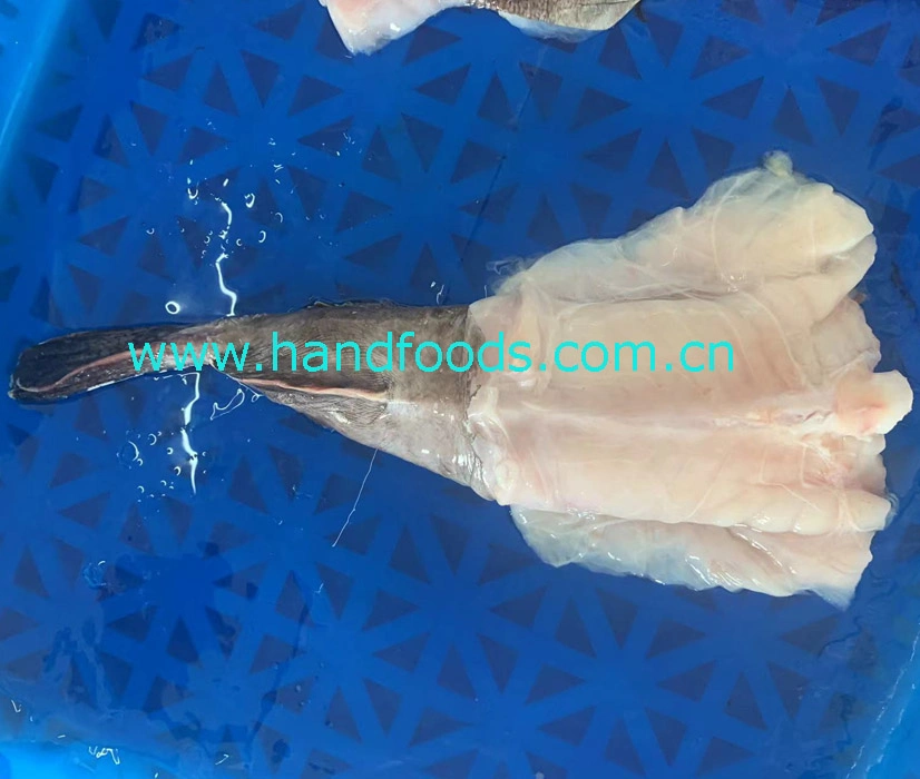 Good Quality Seafood of Frozen Monkfish Tail Product