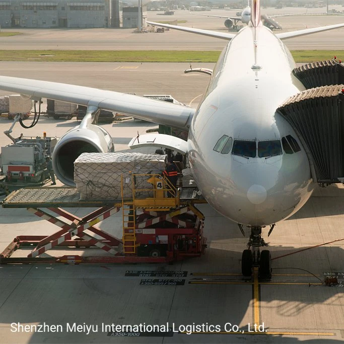 Avião fretado o transporte aéreo rápido Despachante para a Austrália