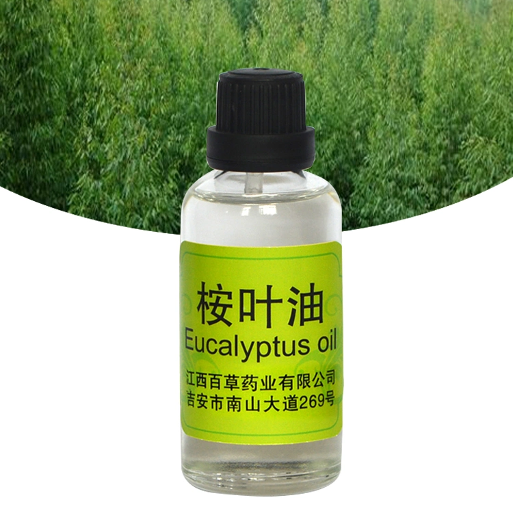 Essential Oil Customized Small Bottle Manufacturer Eucalyptol Leaf Oil