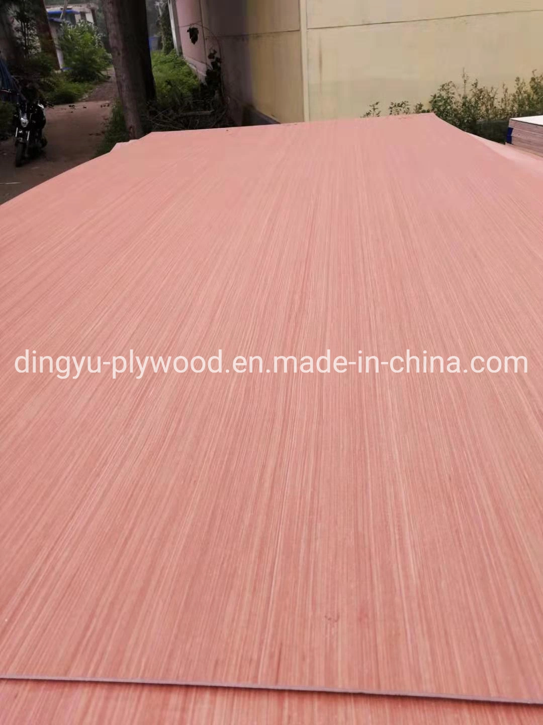 12-18mm Packing Plywood/ Bintangor Commercial Plywood