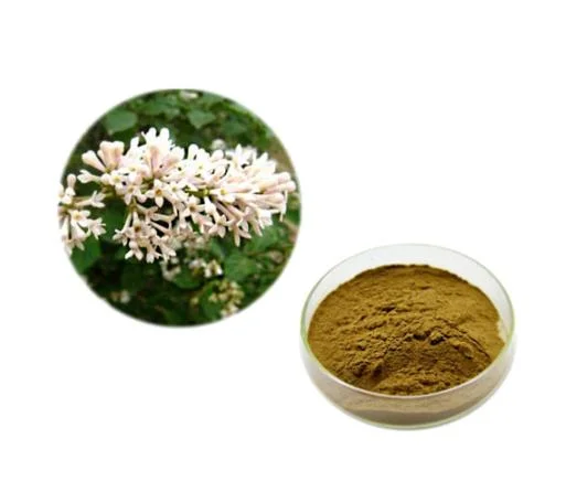 Valerian Root Extract