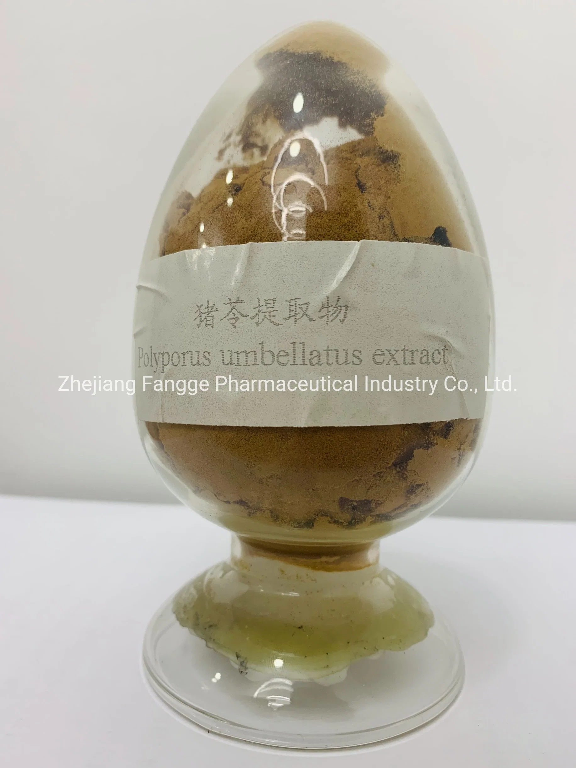 Zhuling Mushroom Extract Powder, Polyporus Umbellatus Extract Powder 4: 1, Organic