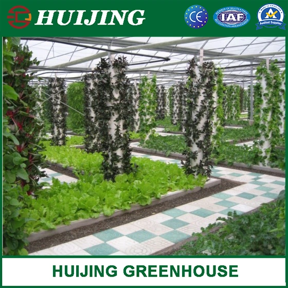 Huijing Nft Hydroponics System in Greenhouse for Vegetables