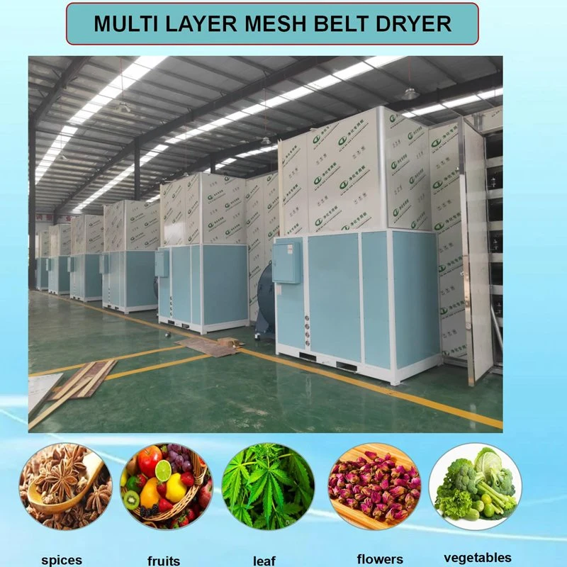 ODM/OEM Avocado Heat Pump Hot Air Mesh Belt Drying Machine