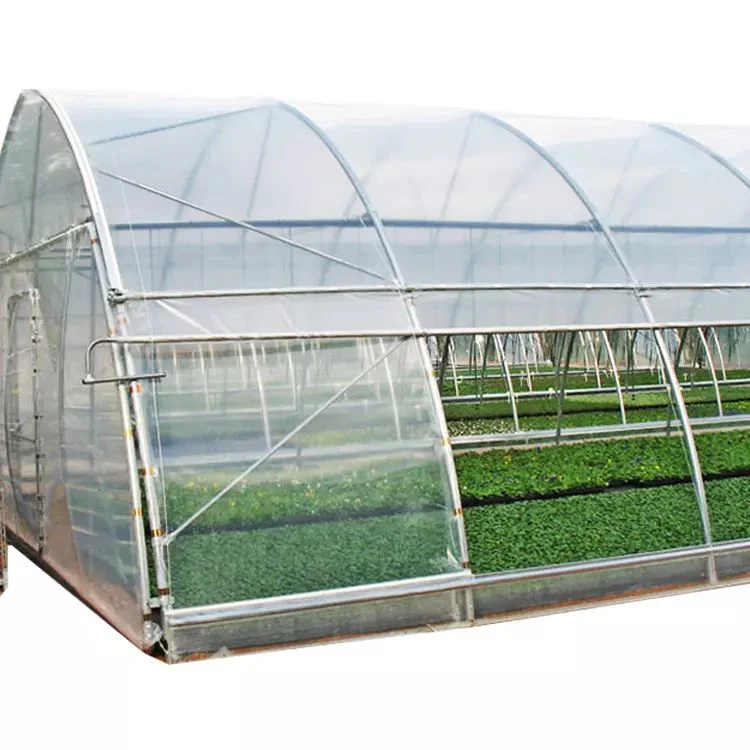 PE or Po Film/Plastic Production Xinhe Greenhouses Single Multi-Span Greenhouse