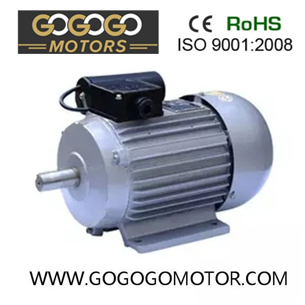 110V/220V 50Hz 60Hz 1HP 2HP/1.5kw 3HP/2.2kw 4HP/3kw 5HP/3.7kw 7.5HP 10HP Yc/Ycl/Yl Capacitor Start Single Phase Induction Electric Motor
