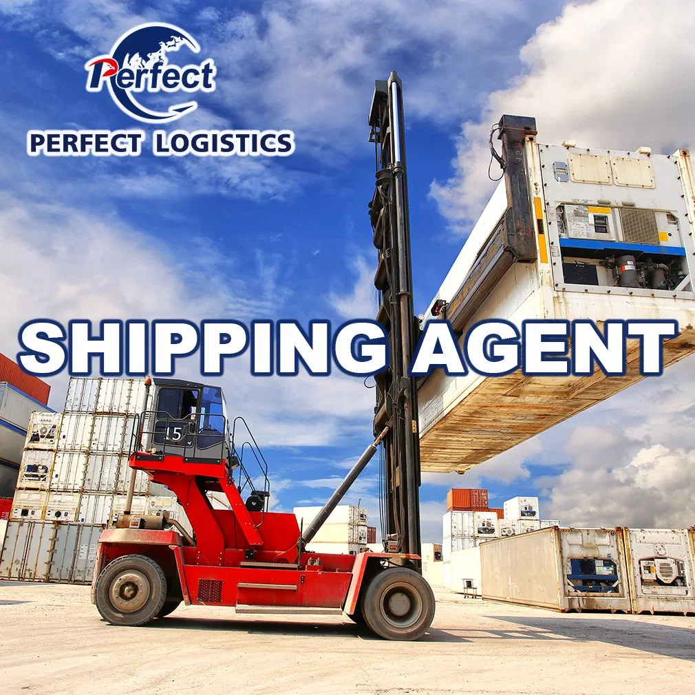 Ocean Cargo Consolidation Spediteur von Shenzhen China nach Luxemburg/UK/De