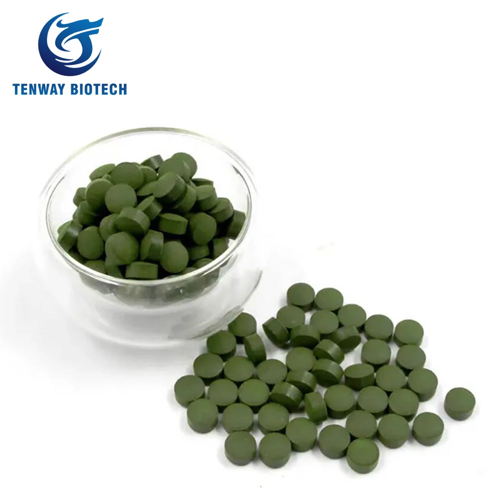 99% Pure Organic Green Powder Natural Chlorella Powder in Bulk Package for Sale at Low Price