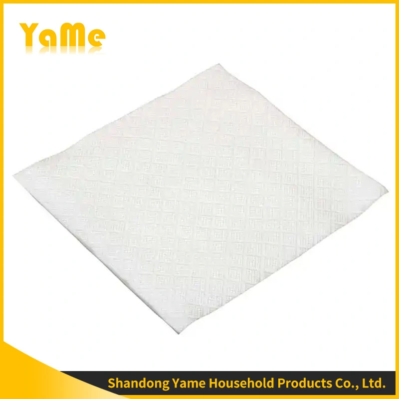 Napkins Can Be Customized with Disposable Biodegradable Paper Napkins for Restaurants