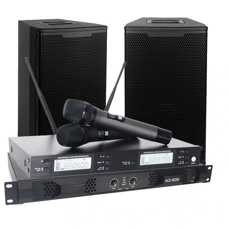 Sinbosen K2-600 600W 2 CH Home Theater Audio Sound Verstärker Mit 12-Zoll-Lautsprecher für drahtloses Mcirophone-System