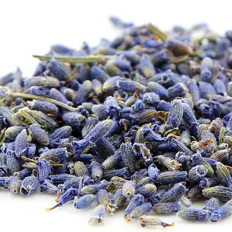 Popular al por mayor Lavanda Orgánica brotes de flores para el té de flores