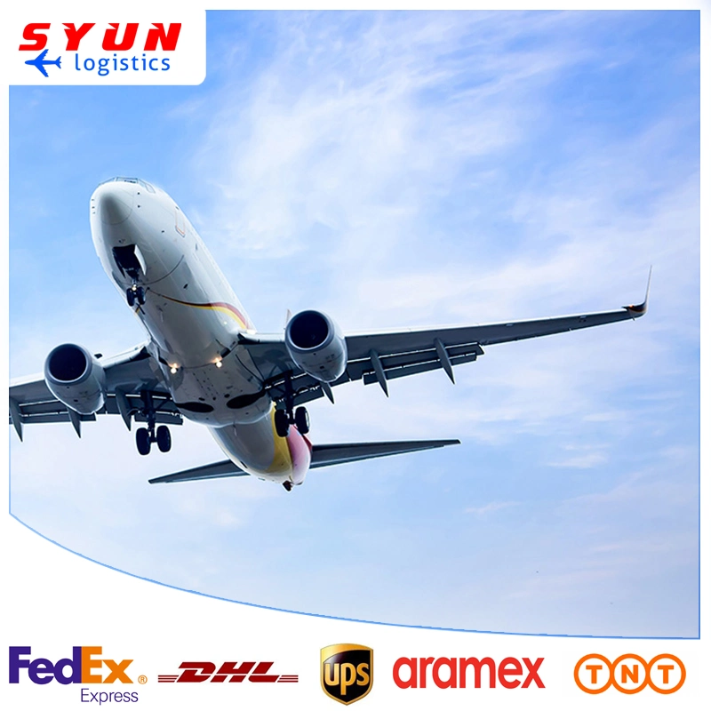 Logística rápida Servicios Express DHL FedEx, UPS de China a Uzbekistán