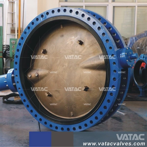 Cast Steel/C. I/D. I Dual Plate Type Butterfly Check Valve China