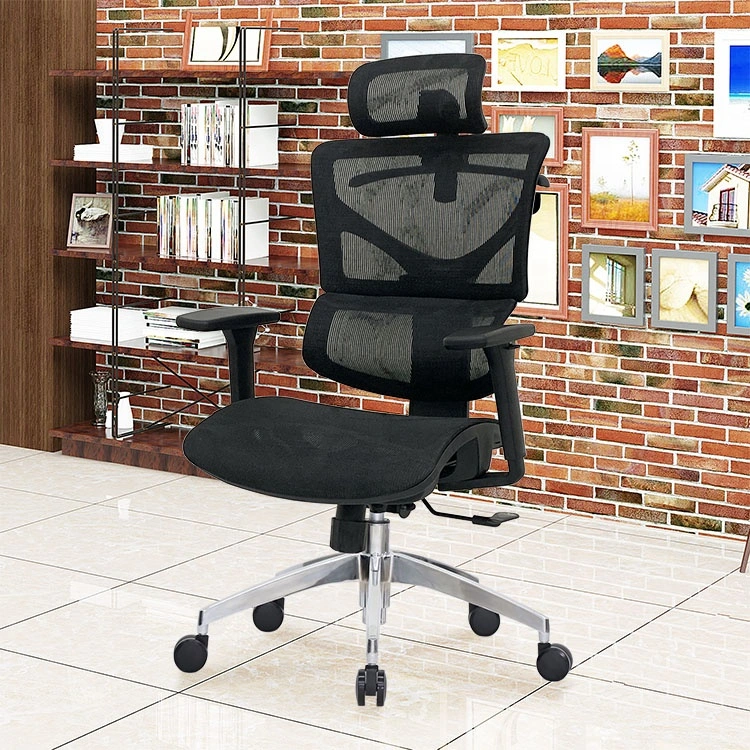 Reasonable Price Executive Mesh Office Chair Ergonomic with BIFMA Passed Nylon Armrest