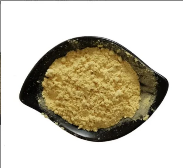 High Grade Natural 5% Gingerol Ginger Extract Powder Ginger Root Extract