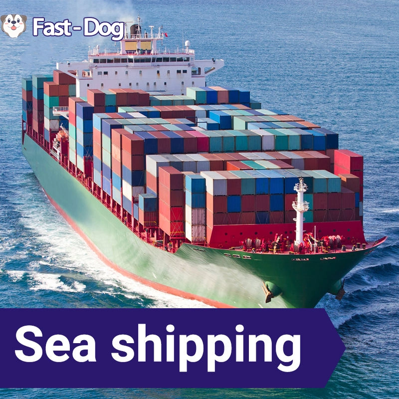 محارب الشحن البحري من الصين إلى وكيل الشحن العالمي إلى خدمات من الباب إلى الباب في الولايات المتحدة الأمريكية