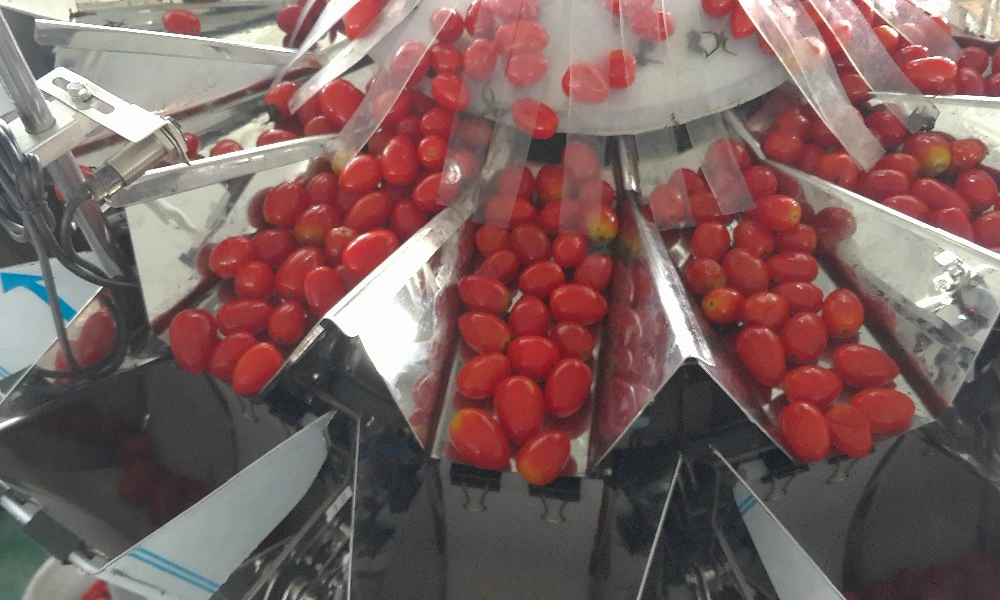 Fully Automatic Fruit Punnet Weighting Packing Clamshell Tray Packing Machine for Lettuce