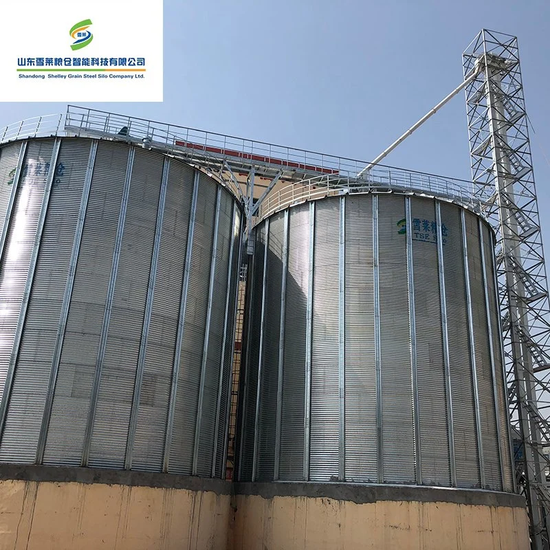 Galvanized Sesame Barley Coffee Beans Storage System Grain Wheat Corn Maize Silos Prices