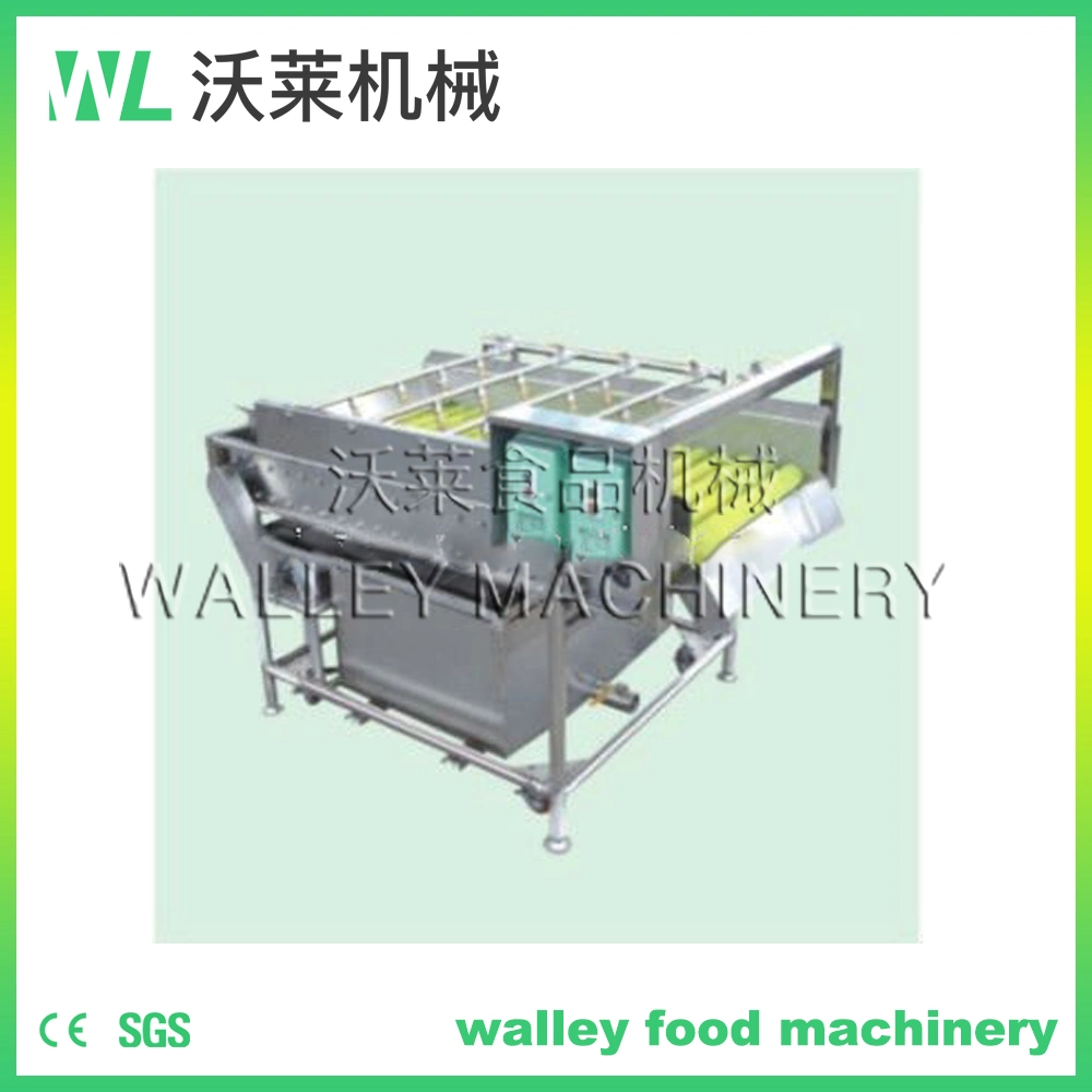 High Rebuy China Agricultural Industry Roller Brush Cleaning Machine