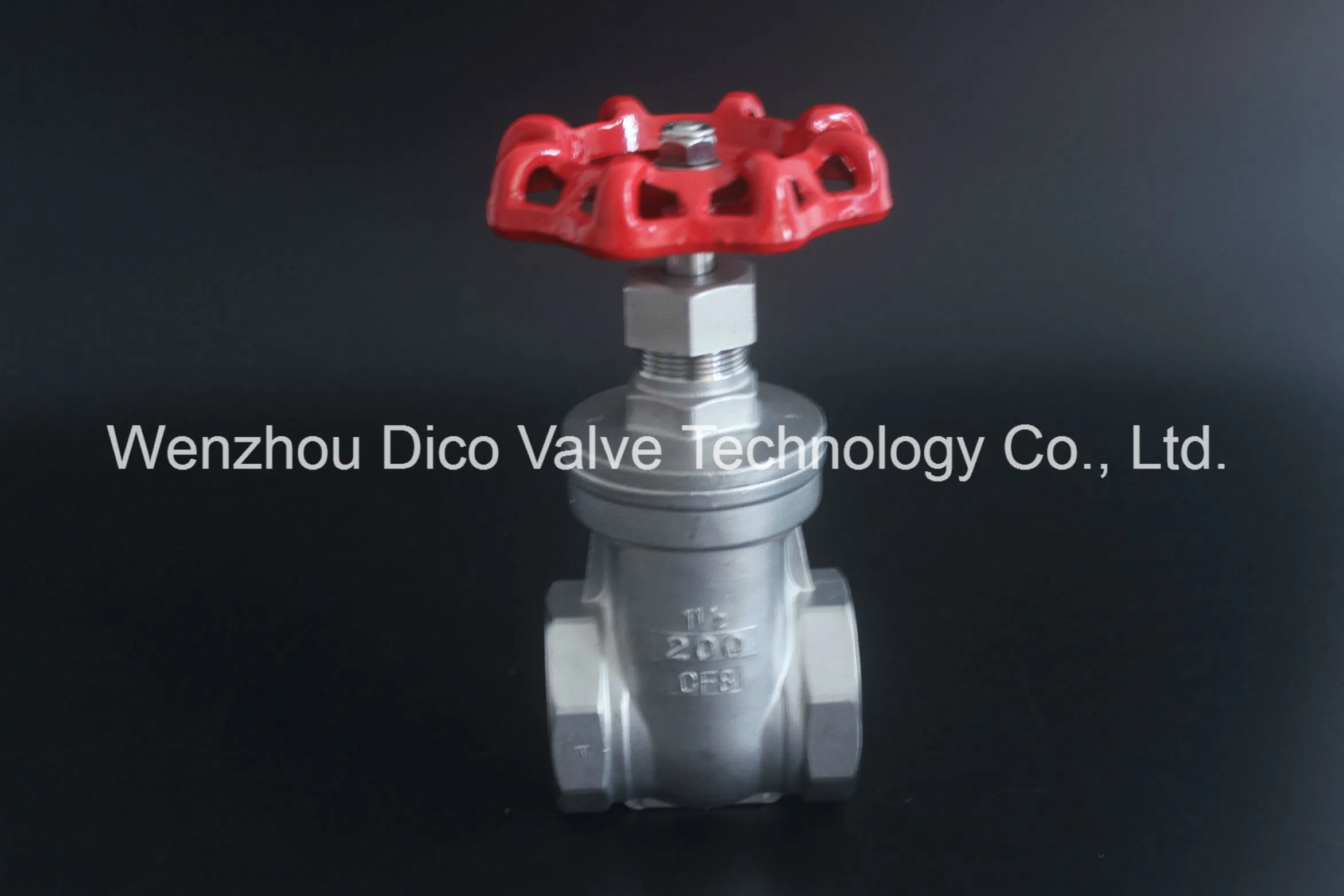 Factory Outlets ANSI Stainless Steel 304/316 Gate Valve with Bsp Thread