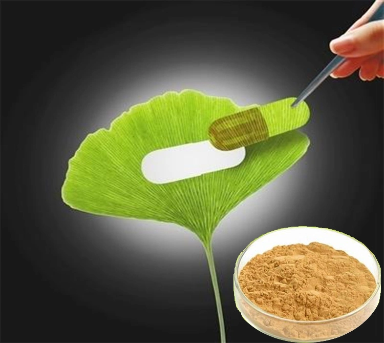 Sheerherb High quality/High cost performance  ISO Certified 100% Natural Ginkgo Biloba Extract/ Ginkgo Leaf Extract with Treatment Alzheimer&prime; S Disease