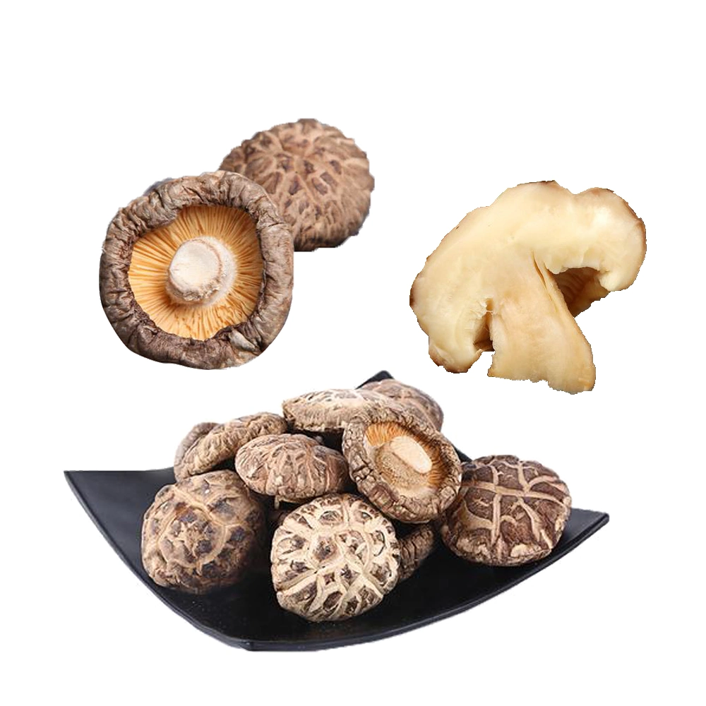 Cheap Price Dehydrated Vegetable Whole Dried Mushroom