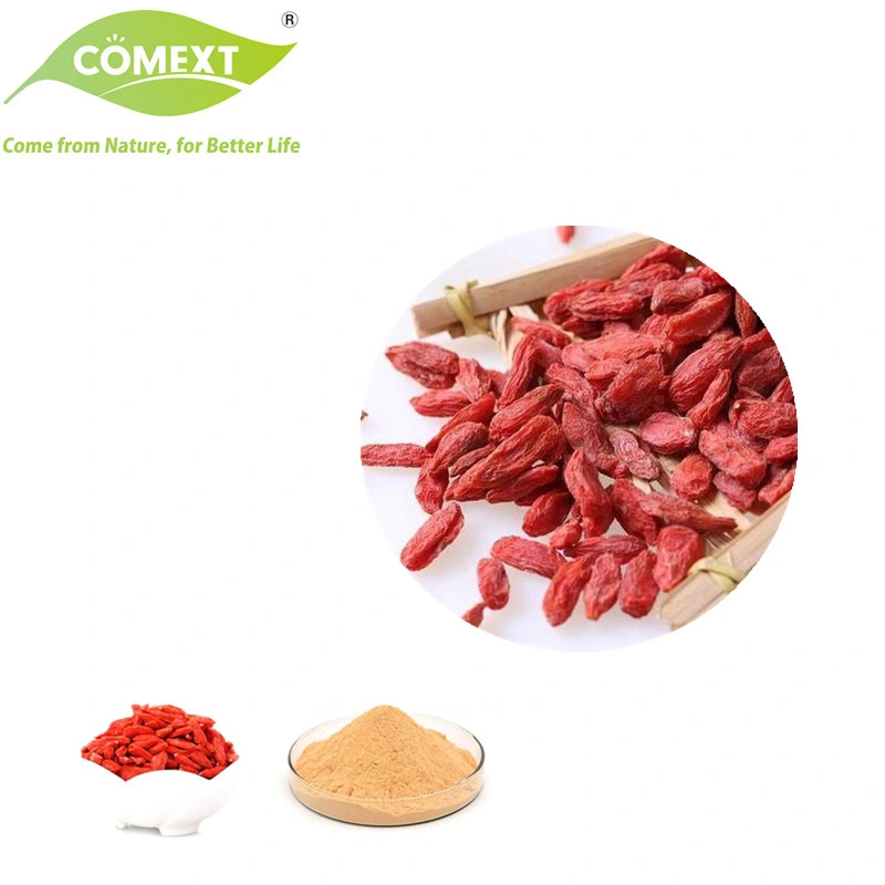 Comext Bulk Improve Immunity Reduce Blood Sugar Wolfberry Fruit Natural Freeze Dried Lycium Goji Berry Extract