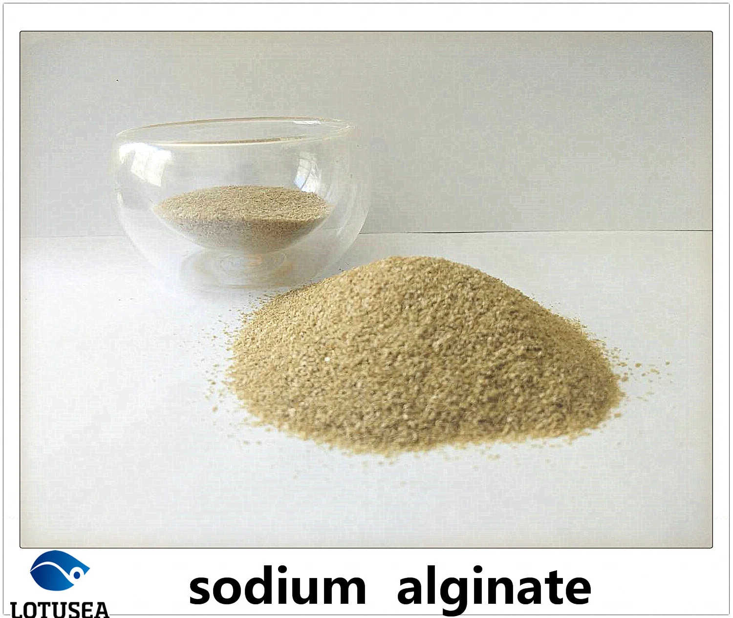 Industrial Sodium Alginate for Textile Use 150 Mesh 3% 500cps