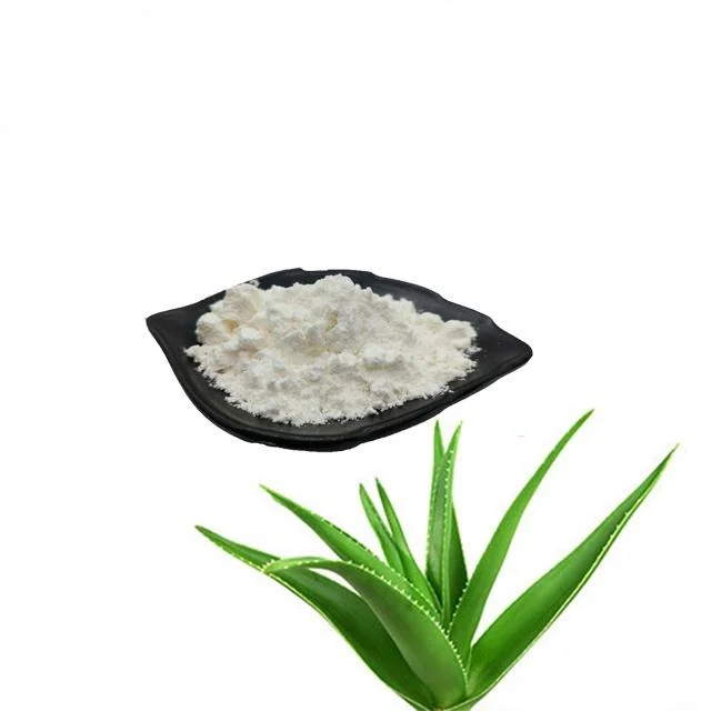 Aloe Vera Extract /200: 1 Aloe Vera Gel Freeze Dried Powder