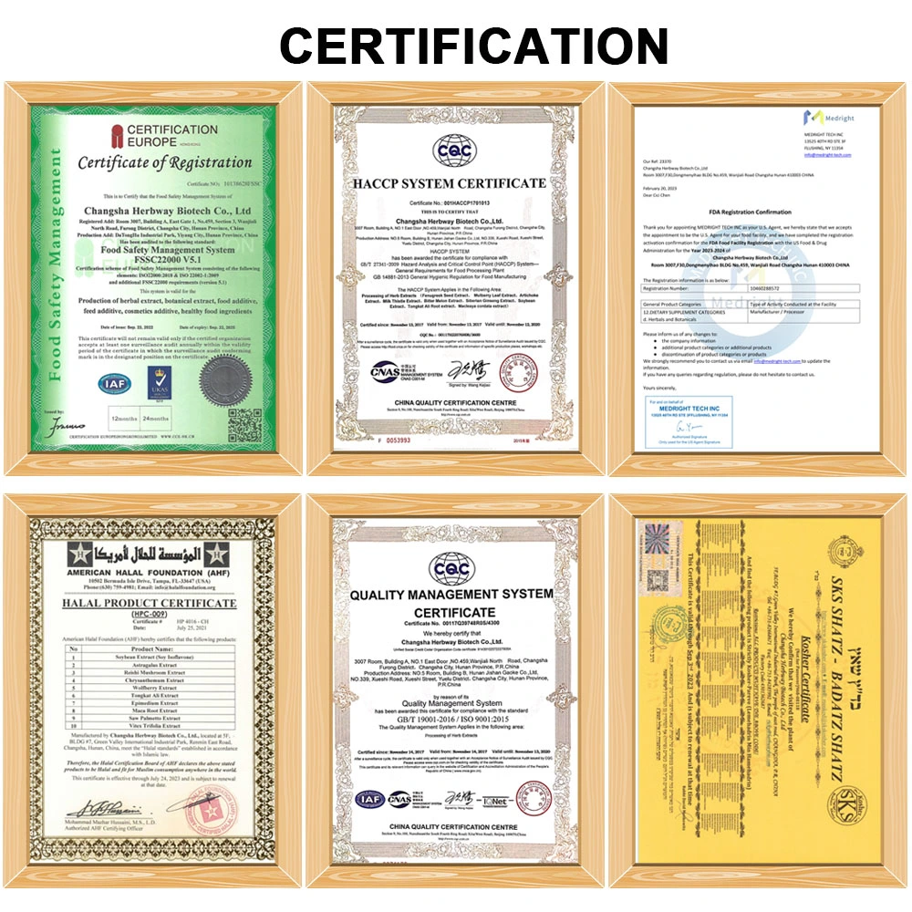 Herbway Kosher Halal Extracto Botánico certificado por el FSSC HACCP Hoja de arándano Extracto UVA Ursi Leaf Extracto ácido ursólico Cosméticos