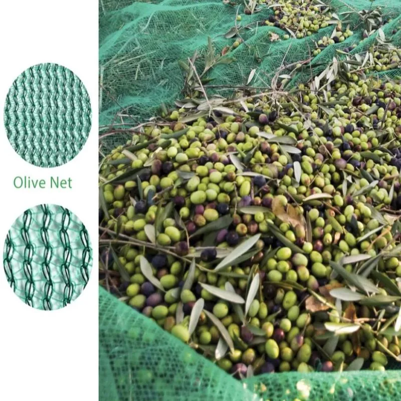 Green PE Olive Harvest Net