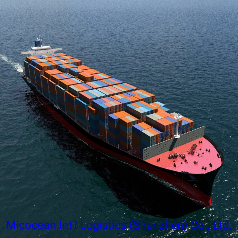 LCL FCL Container Sea Freight Shipping From Guangzhou Shanghai Zhejiang Taizhou to Italy