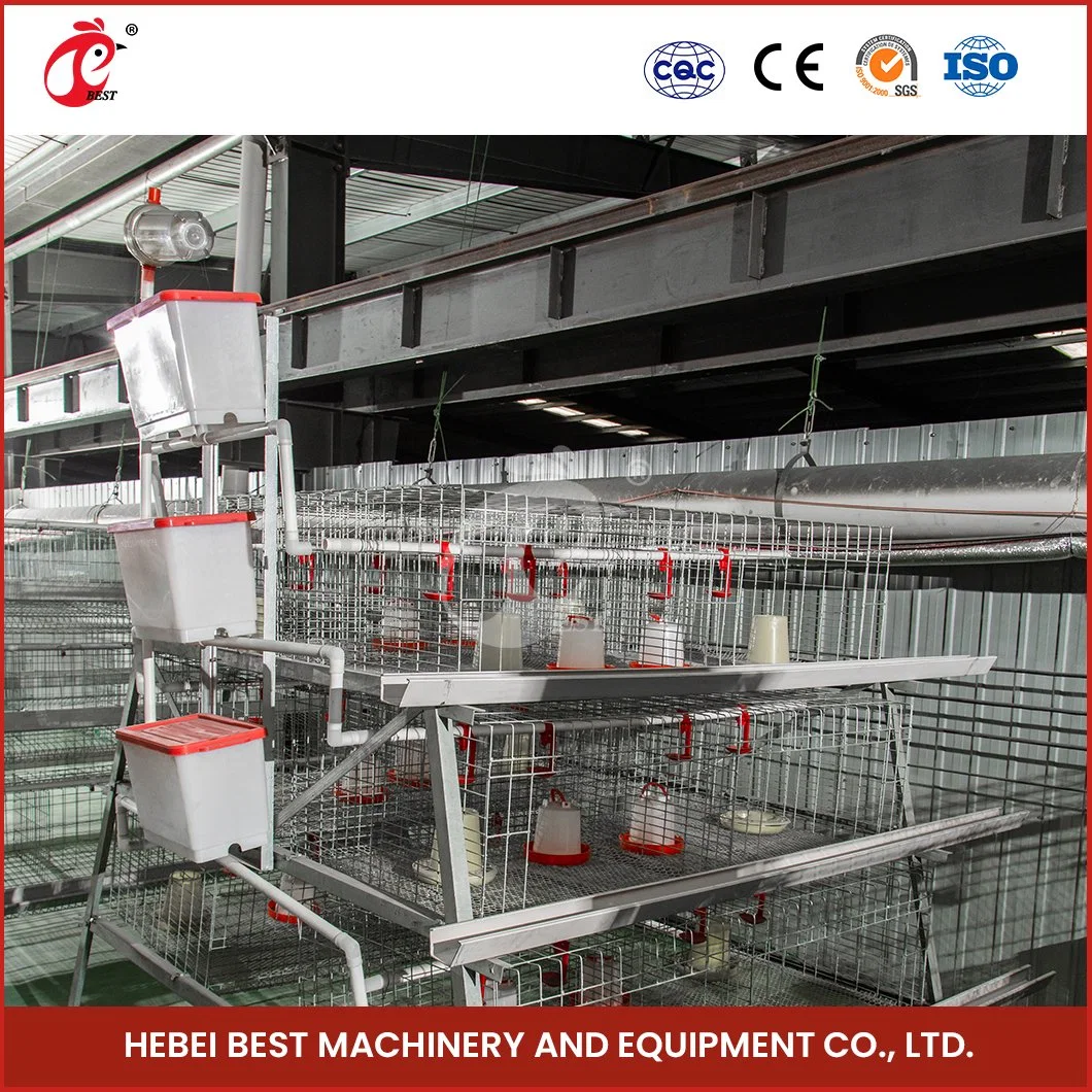 Bestchickencage Mayorista/Proveedor China proveedores de los precios de las jaulas de pollo un marco de las jaulas de pollos automático de la luz de Alta Calidad Material de acero de cooperativas de pequeños animales