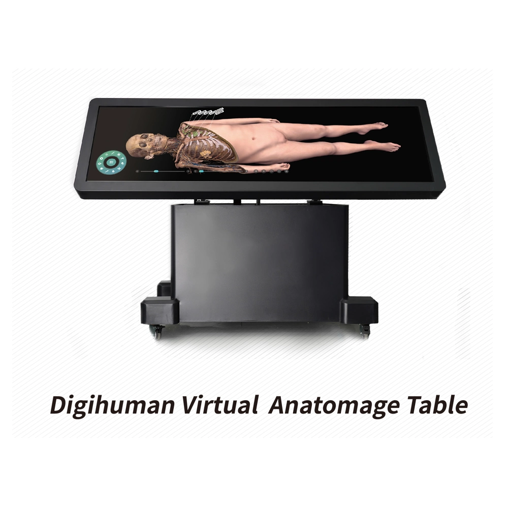 3D Human Body Virtual Anatomage System Virtual Anatomy dissection Table (جدول تحليل التشريح الظاهري للجسم البشري ثلاثي للجامعة