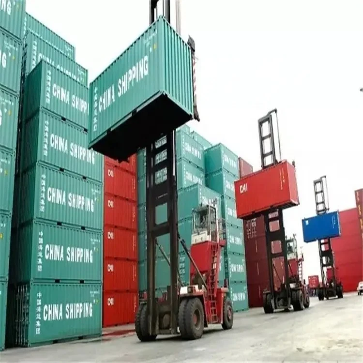 Sea Freight Service From China to Cameroonfcl/LCL Transportation