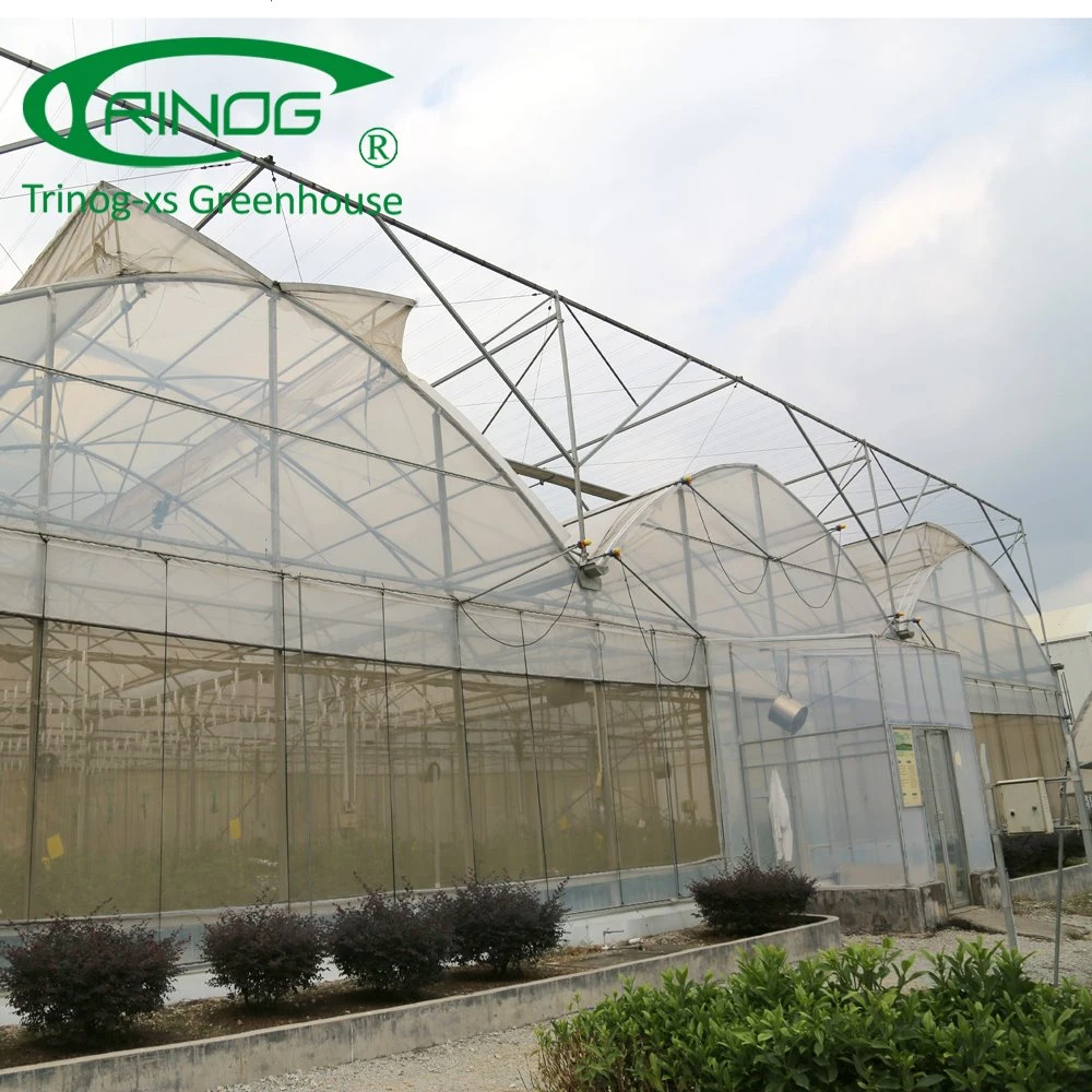 Agricultural Greenhouse lettuce NFT hydroponic growing system for sale