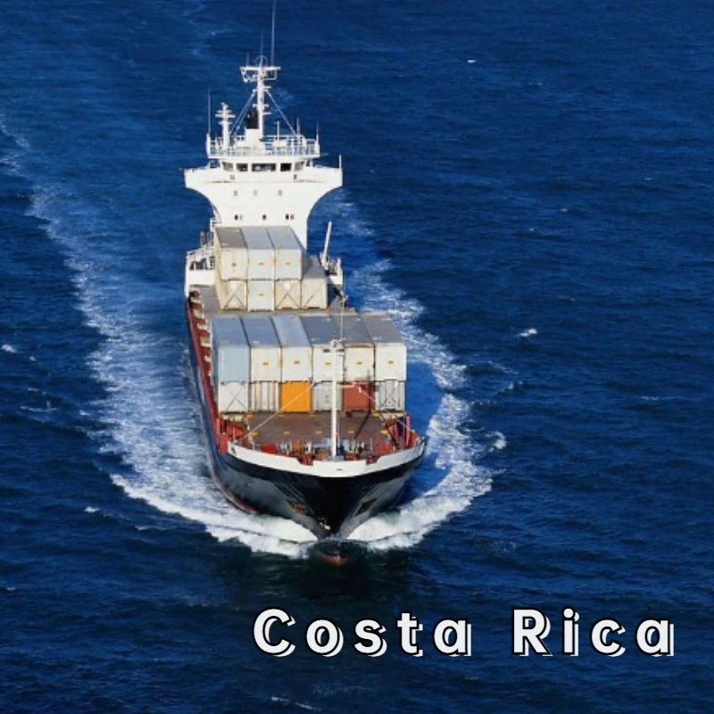 Maritime Transportation From Shanghai, China to Costa Rica, DDP