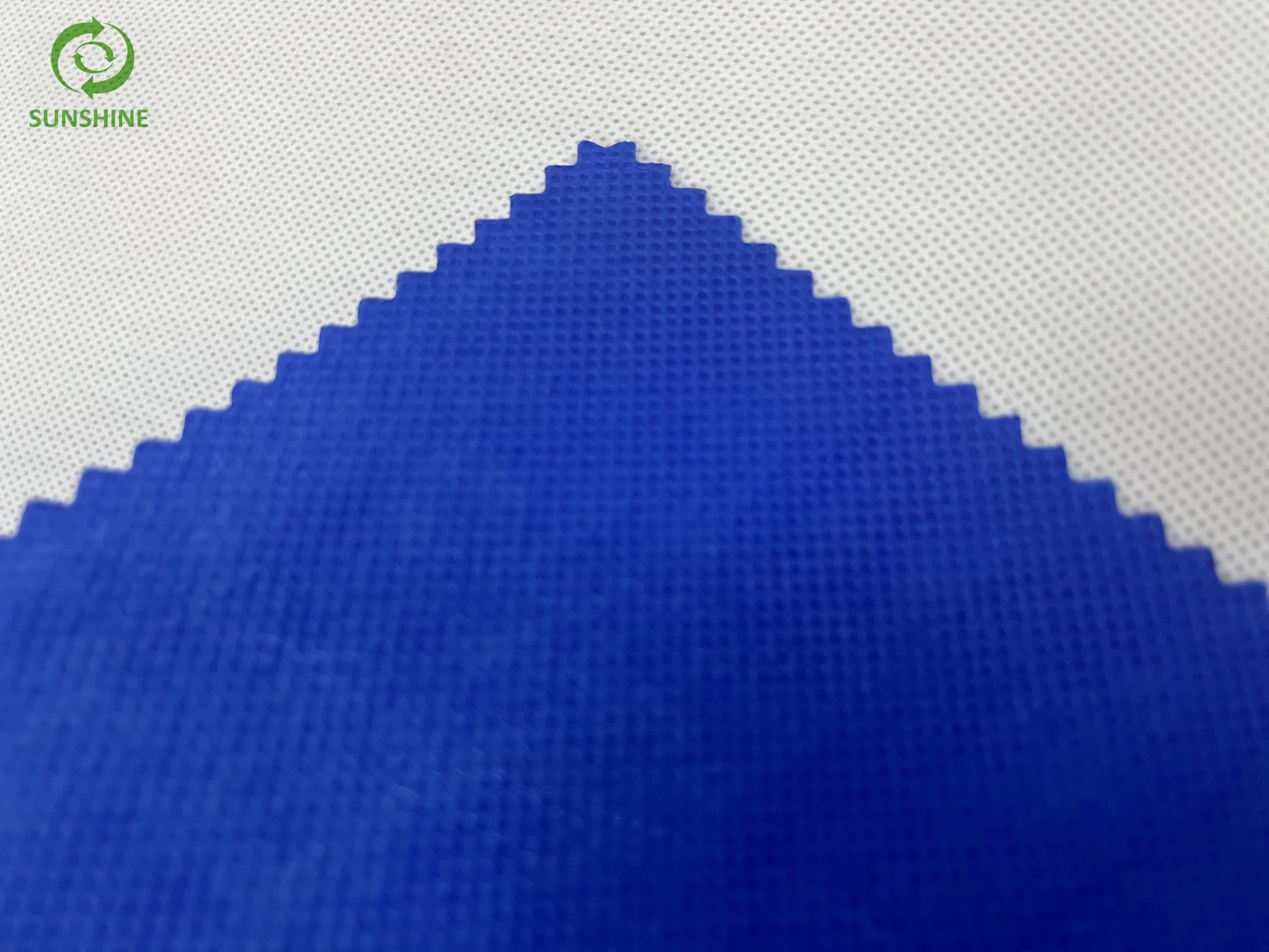 Sunshine 100% PLA Polyester Recycle Felt Pet Spunbond Printed Nonwoven Mesh Fabric Pet