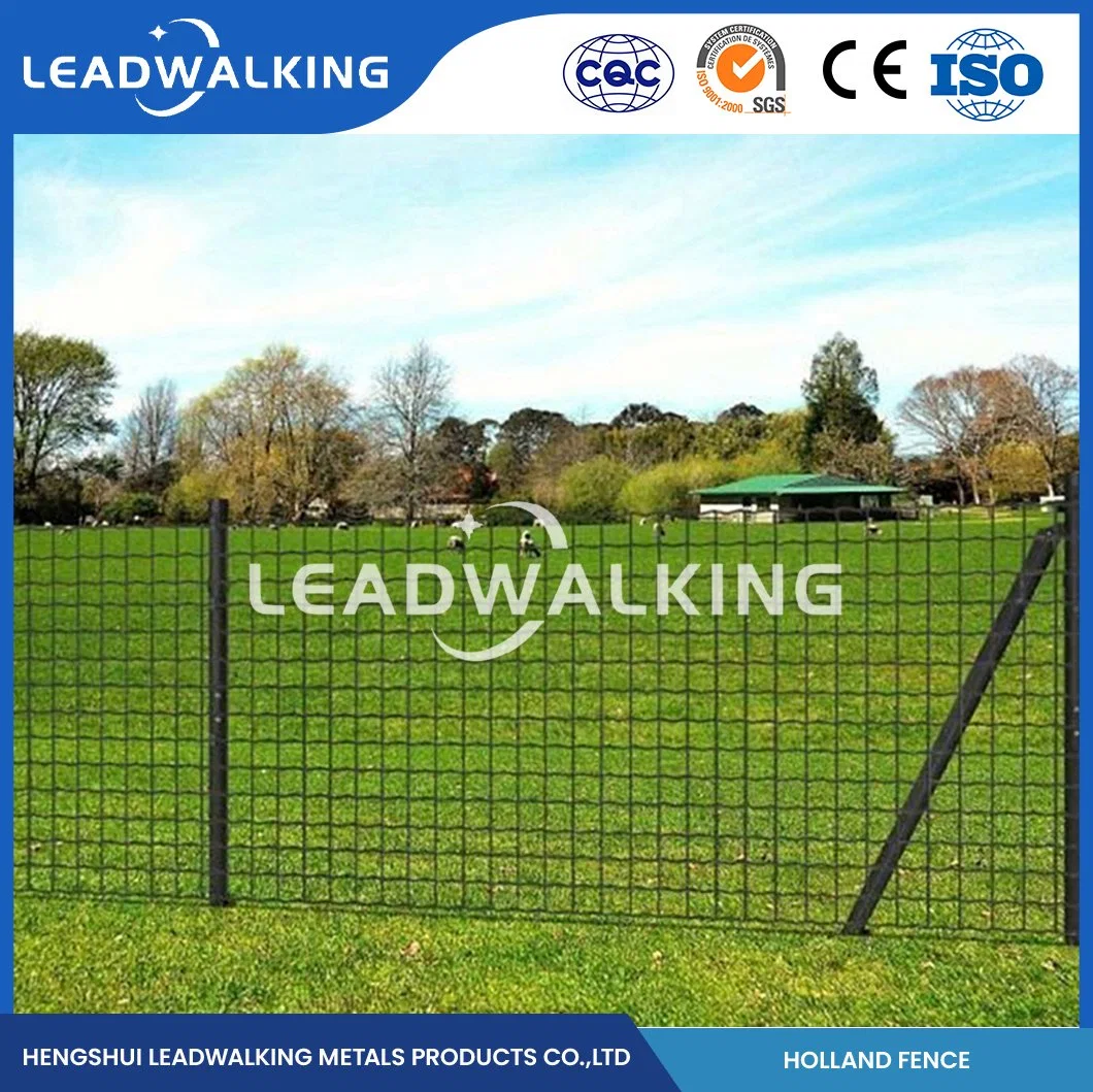 Leadwalking Euro Zaun Welding Mesh Factory Custom 2 Zoll Edelstahl Stahl geschweißte Drahtgeflecht mit PVC-Beschichtung China 50.8X101.6mm Mesh Niederländisches Netz Fechten