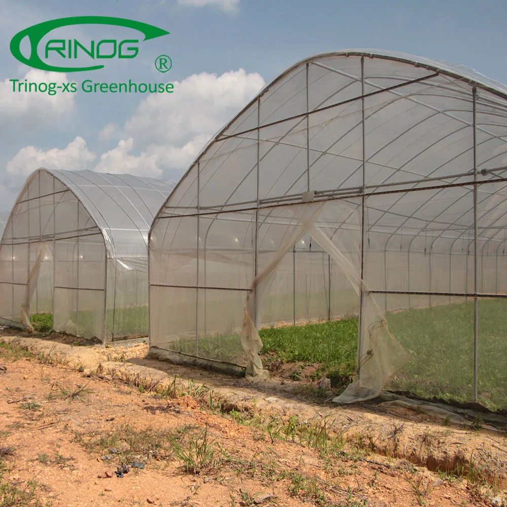 Commercial Large Plastic Single Span Film Green House