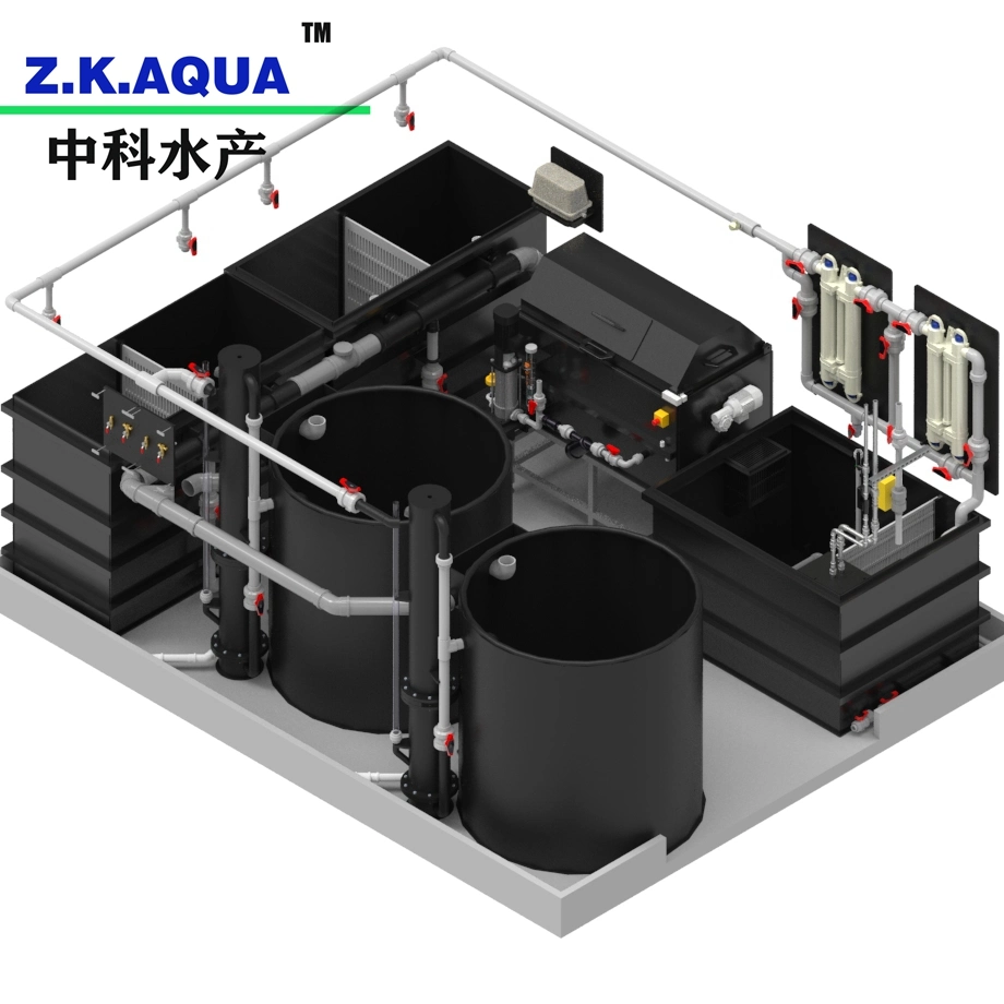 China Professional Manufacturer Factory Made Ras System Fish Farming Aquarium Filtration System Ras