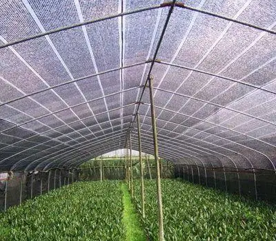 Single Commercial Greenhouse Grow Tent PE Net Shading with High quality/High cost performance  Xinhe